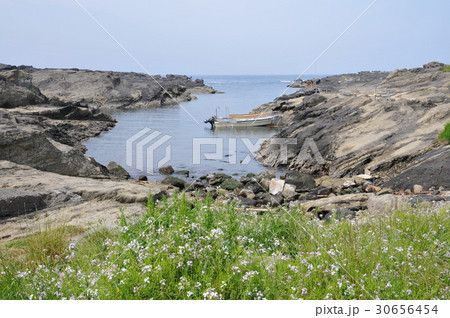 城ケ島 長津呂崎 城ケ島 長津呂崎 30656454