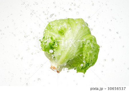 レタス　シズル感 30656537