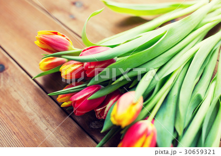 close up of tulip flowers on wooden table close up of tulip flowers on wooden table 30659321