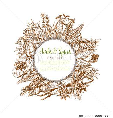 Herbs and spices sketch vector poster 30661331