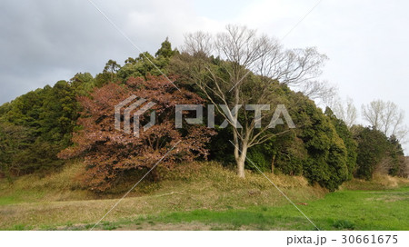 壇場山古墳 30661675