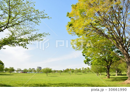 新緑の舎人公園 30661990