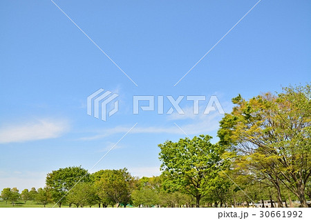 新緑の舎人公園 30661992