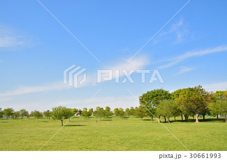 新緑の舎人公園 30661993