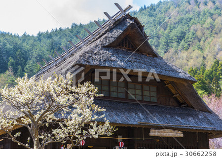 西湖いやしの里の茅葺屋根 30662258