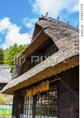 西湖いやしの里の茅葺屋根 30662259
