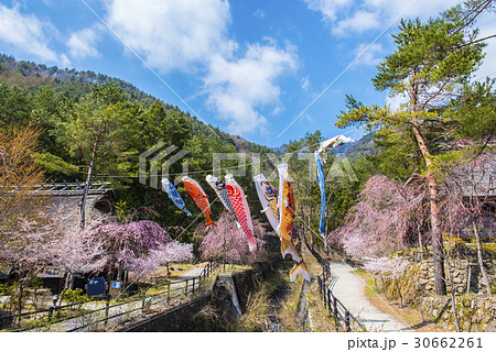 茅葺きと鯉のぼり 30662261