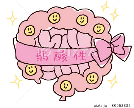 弱酸性の腸 弱酸性の腸 30662882