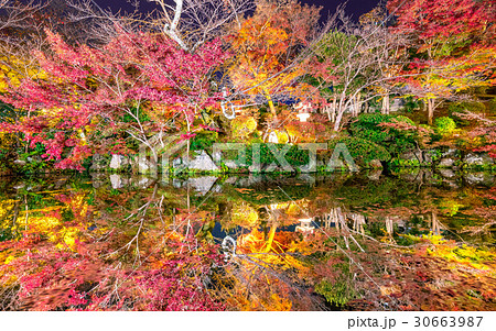 紅葉の水面 30663987