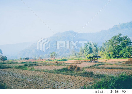 Landscape in mountains. Landscape in mountains. 30663989