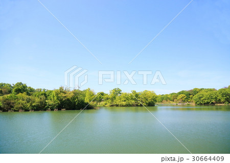 新緑の公園 30664409