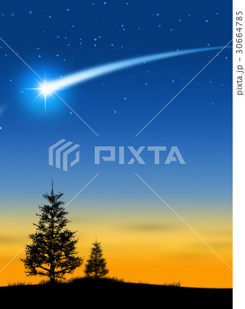 星空　流星　夕日　立木 30664785