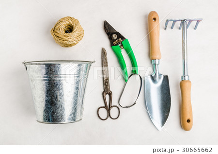 Garden tools for planting 30665662