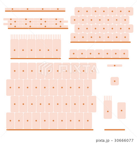 epithelial tissue set 30666077