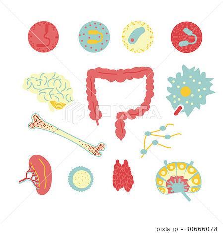immune system icon set 30666078