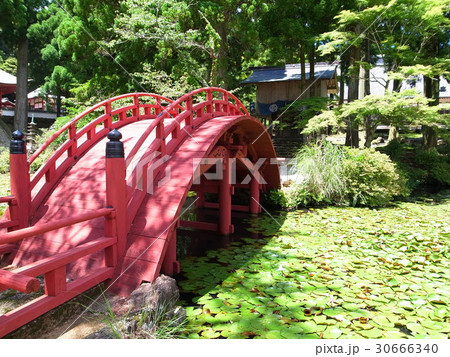金剛證寺 金剛證寺 30666340
