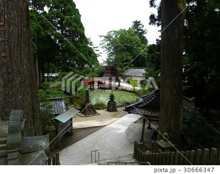 金剛證寺 30666347