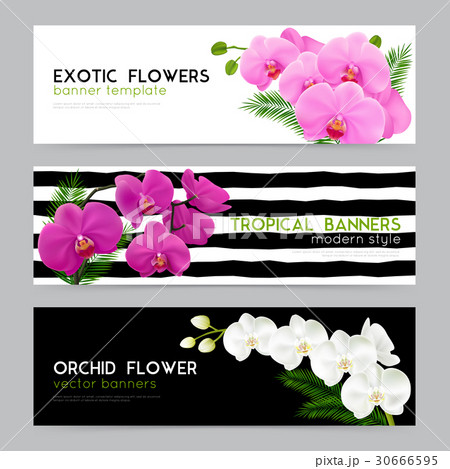 Blooming Orchids Realistic banners Set 30666595