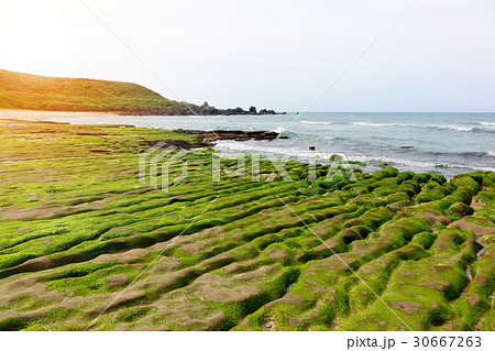 Green reef of Laomei coast 30667263