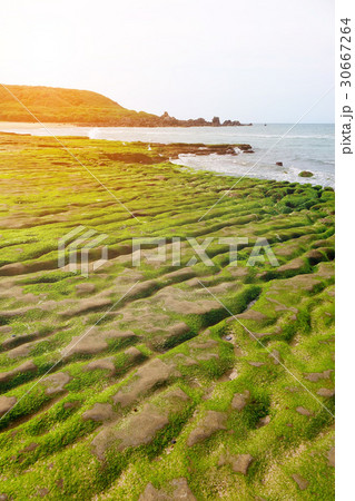Green reef of Laomei coast Green reef of Laomei coast 30667264