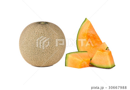 cantaloupe isolated on white background 30667988