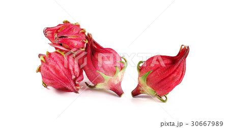 roselle isolated on white background roselle isolated on white background 30667989