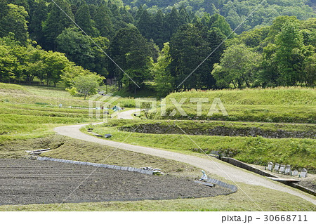 水田　棚田　農業　農機　耕運機 30668711