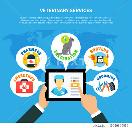 Pet Care Concept 30669592