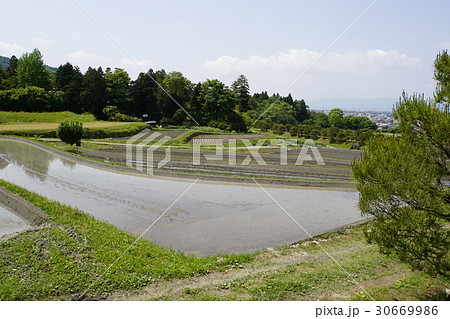 水田 棚田 修学院離宮 水田 棚田 修学院離宮 30669986