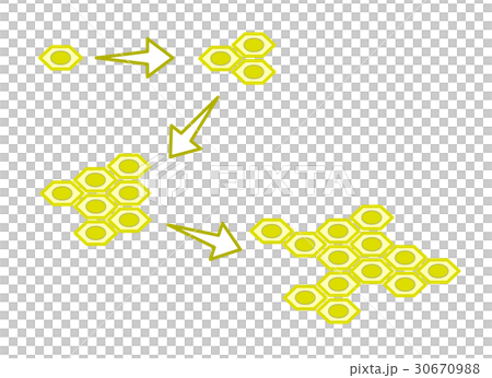 Cell division Cell division 30670988