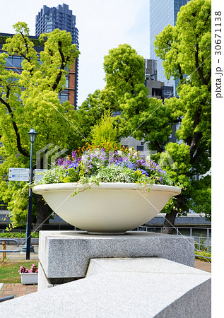 大阪　中之島バラ園の風景 30671138