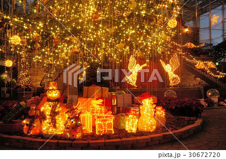 はままつフラワーパークのクリスマスイルミネーション はままつフラワーパークのクリスマスイルミネーション 30672720