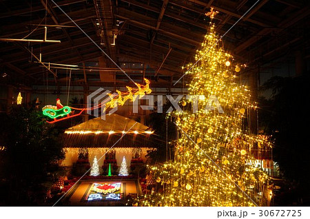 はままつフラワーパークのクリスマスイルミネーション はままつフラワーパークのクリスマスイルミネーション 30672725