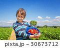 Boy with a strawberry crop in his hands  30673712