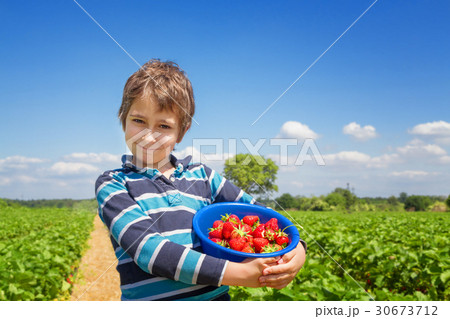 Boy with a strawberry crop in his hands  30673712