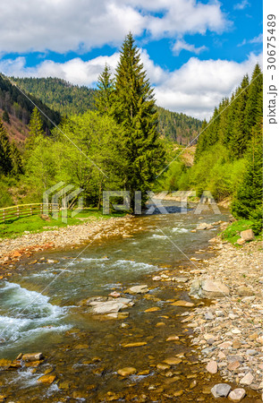 Rapid stream in green forest 30675489