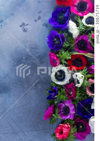Anemones flowers on stone background 30675739