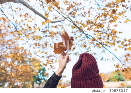 秋　女性 30678017