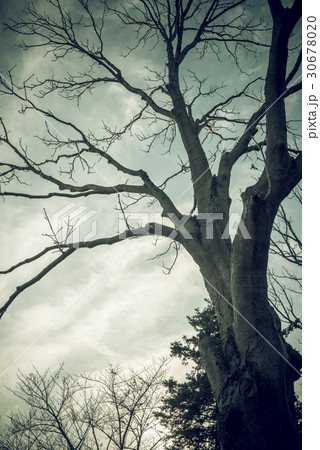 秋の風景 30678020