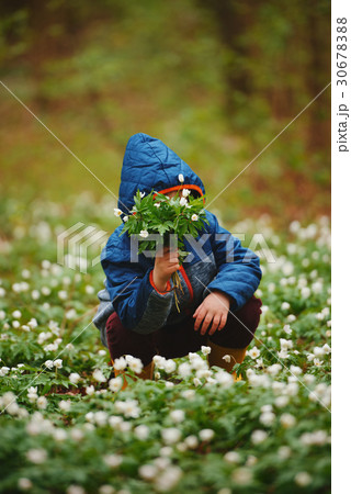 little boy in spring forest with many flowers 30678388