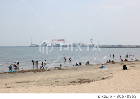 御殿場海水浴場　潮干狩り　港側 30678565