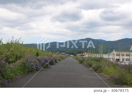 地元の堤防の景色 30678575