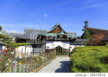 京都・大覚寺・式台玄関 30678858