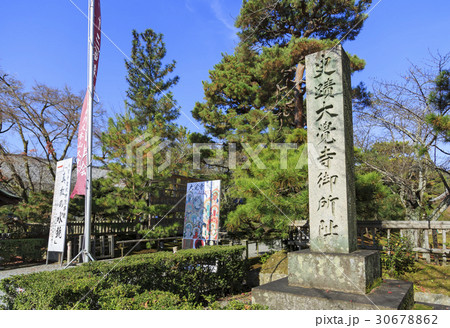 京都・大覚寺・御所阯 京都・大覚寺・御所阯 30678862