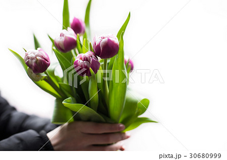 Man holding pink tulips. Gift card template 30680999