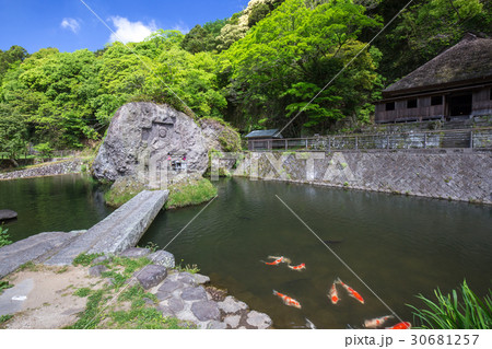 天念寺・川中不動 天念寺・川中不動 30681257