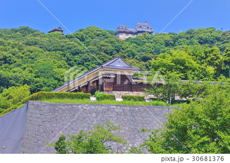 万緑の城山公園から見た松山城 万緑の城山公園から見た松山城 30681376