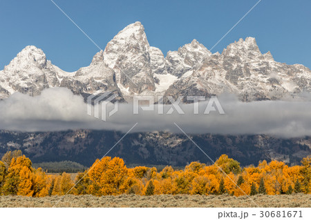 Autumn in the Tetons 30681671