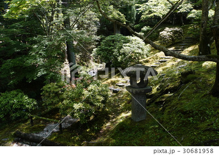 織部灯篭　日本庭園 30681958