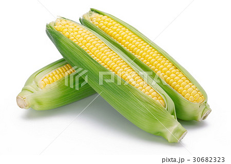 とうもろこし とうもろこし 30682323